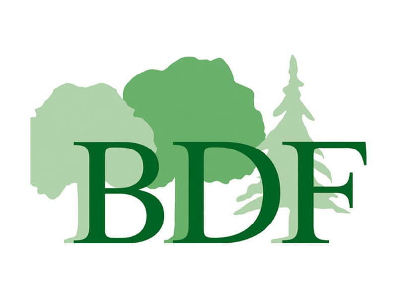 BDF Logo